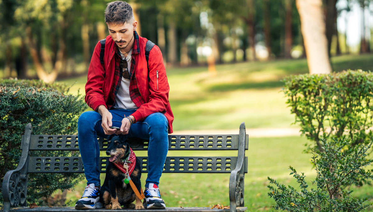 A crossbreed terrier watches a park from the safety of a bench