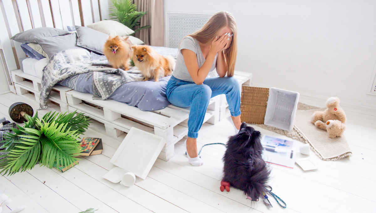 A Pomeranian sits in front of a woman, her head is in her hands and the room is a mess