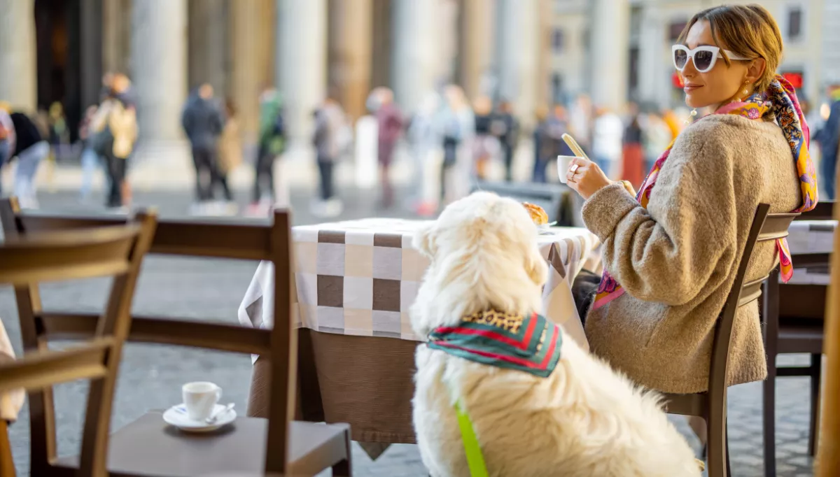 A Golden Retriever watches a busy city centre from next to a cafe table