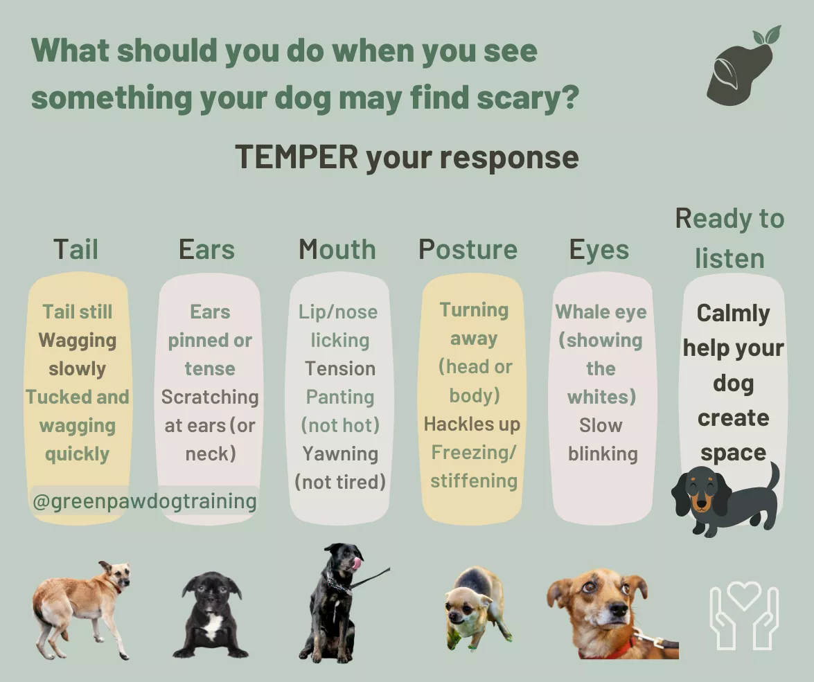 An infographic alternative to the linked video above - video has audio descriptions