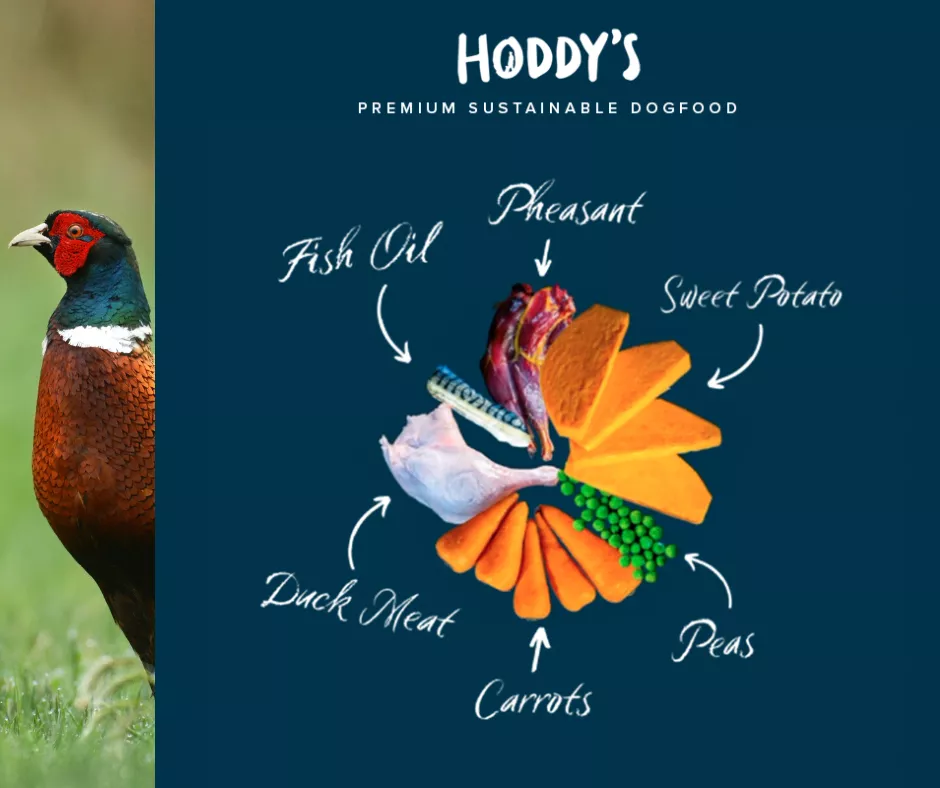 A pheasant looks from behind a breakdown of Hoddy's ingredients