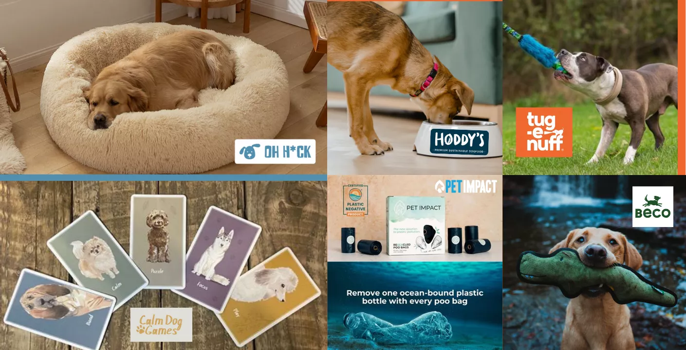 Six of the best dog brands - see below